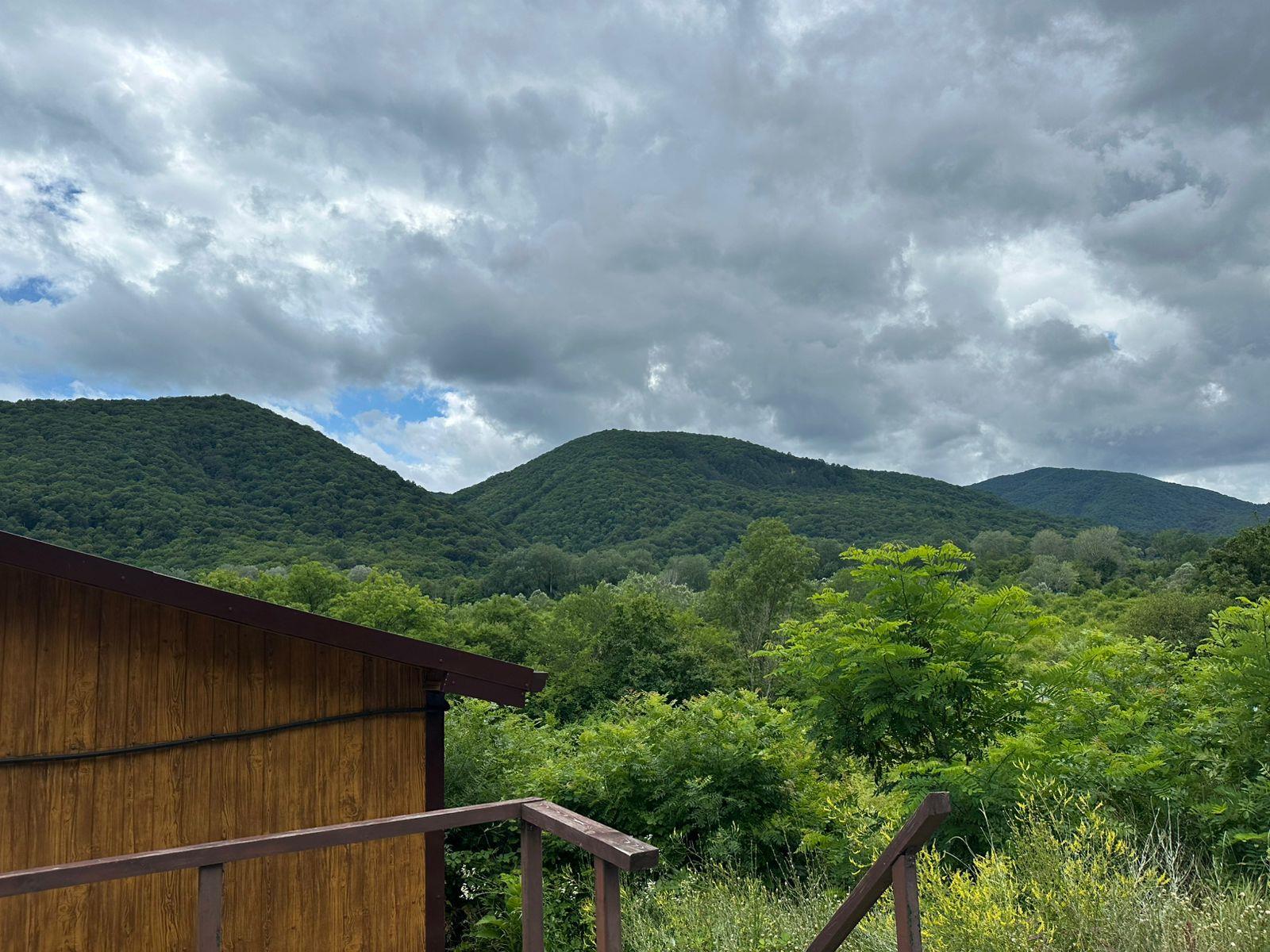 Фото №8: Коммерция 250 м² - СТ Вулан, 115