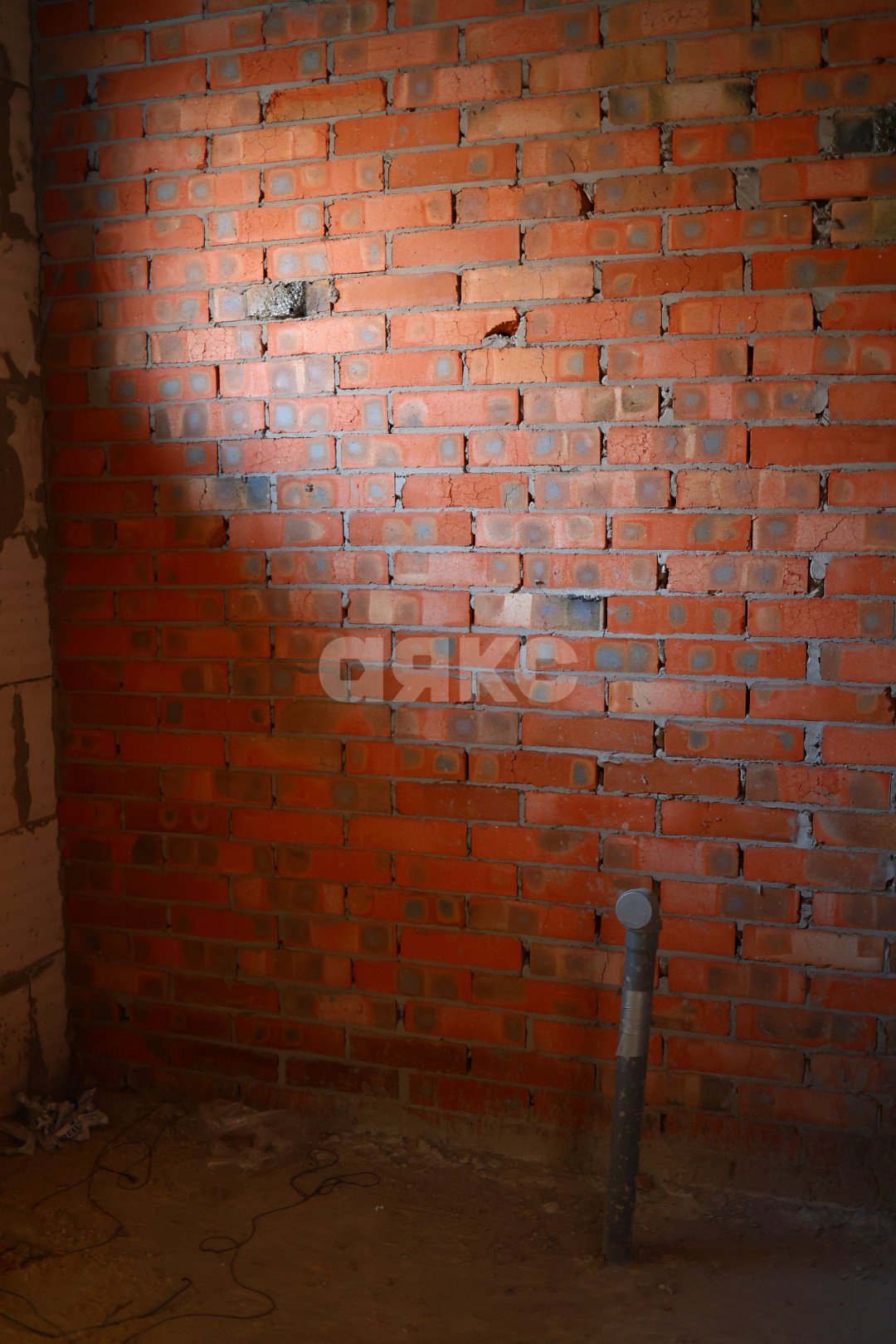 Фото №29: Дом 120 м² + 3.1 сот. - Красный Крым, ул. Молодёжная, 27