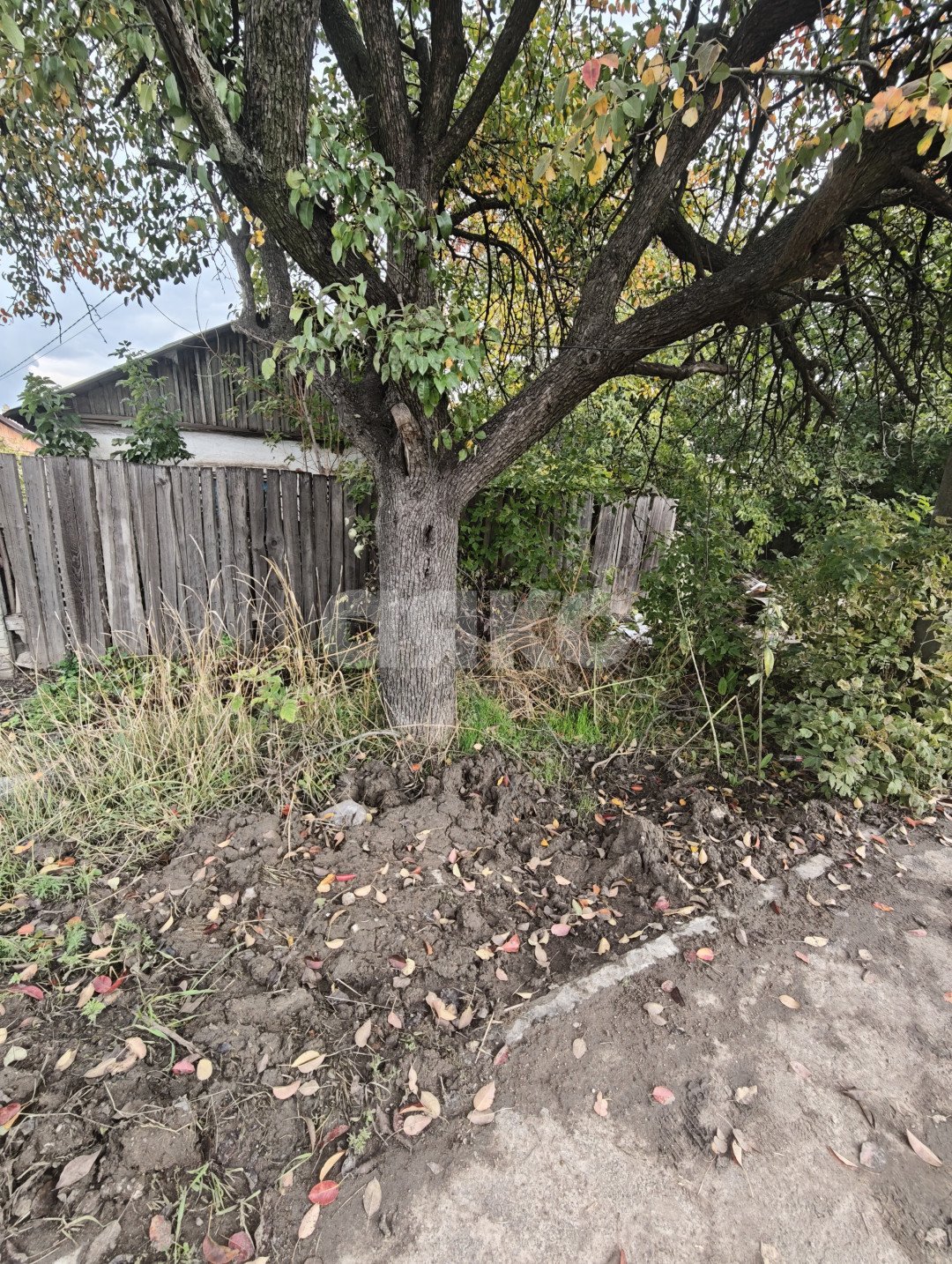 Фото №5: Земельный участок под ИЖС 8.63 сот. - Мариуполь, Жовтневый, ул. Шевченко, 183