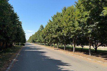 Фото №2: Дом 450 м² - СНТ Пригород, мкр. Прикубанский внутригородской округ, ул. Атамана Круковского, 104