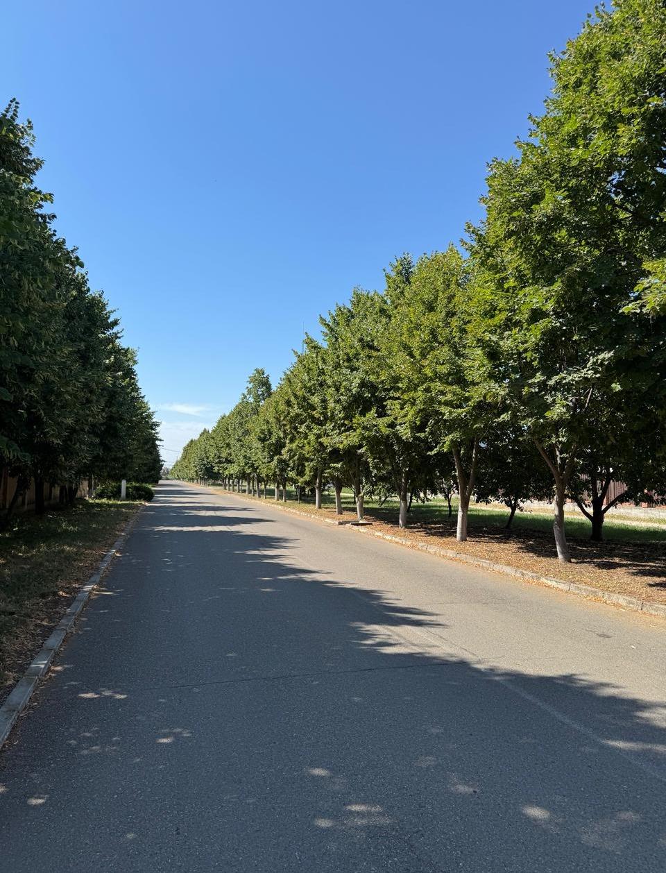 Фото №2: Дом 450 м² + 10 сот. - СНТ Пригород, мкр. Прикубанский внутригородской округ, ул. Атамана Круковского, 104