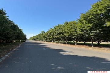 Фото №2: Дом 450 м² - СНТ Пригород, мкр. Прикубанский внутригородской округ, ул. Атамана Круковского, 104