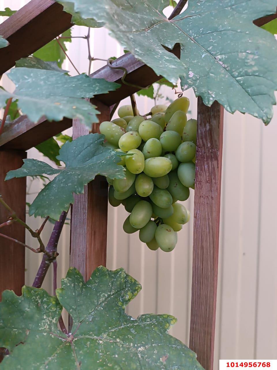 Фото №19: Дом 122 м² + 6 сот. - Динская, ул. Новая, 24А