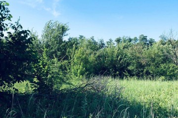 Фото №4: Участок садоводство 9.38 сот. - Янтарь, мкр. Карасунский внутригородской округ, ул. Вишнёвая, 52