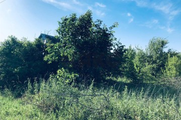 Фото №2: Участок садоводство 9.38 сот. - Янтарь, мкр. Карасунский внутригородской округ, ул. Вишнёвая, 52