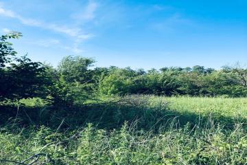 Фото №4: Земельный участок 9.38 сот. - Янтарь, мкр. Карасунский внутригородской округ, ул. Вишнёвая, 52