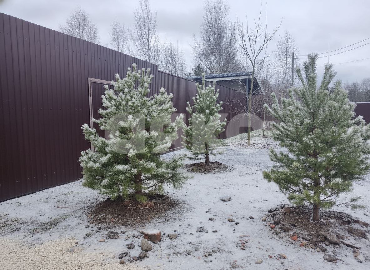 Фото №9: Дом 175 м² + 6.2 сот. - Быково, ул. Колхозная, 16Д