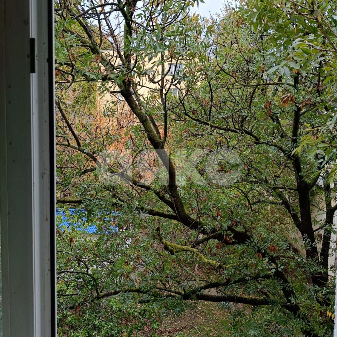 Фото №15: 2-комнатная квартира 44 м² - Геленджик, ул. Островского, 21