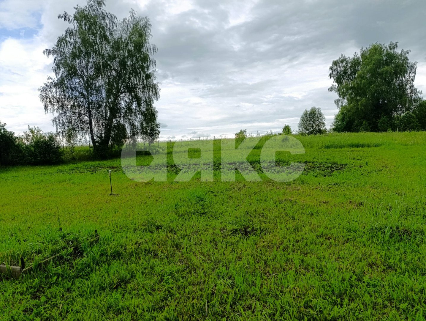 Фото №6: Личное подсобное хозяйство 26 сот. - Железня, 28