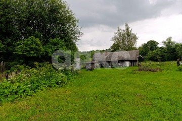 Фото №5: Личное подсобное хозяйство - Железня, 28