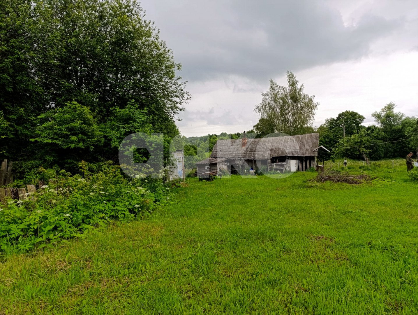 Фото №5: Личное подсобное хозяйство 26 сот. - Железня, 28