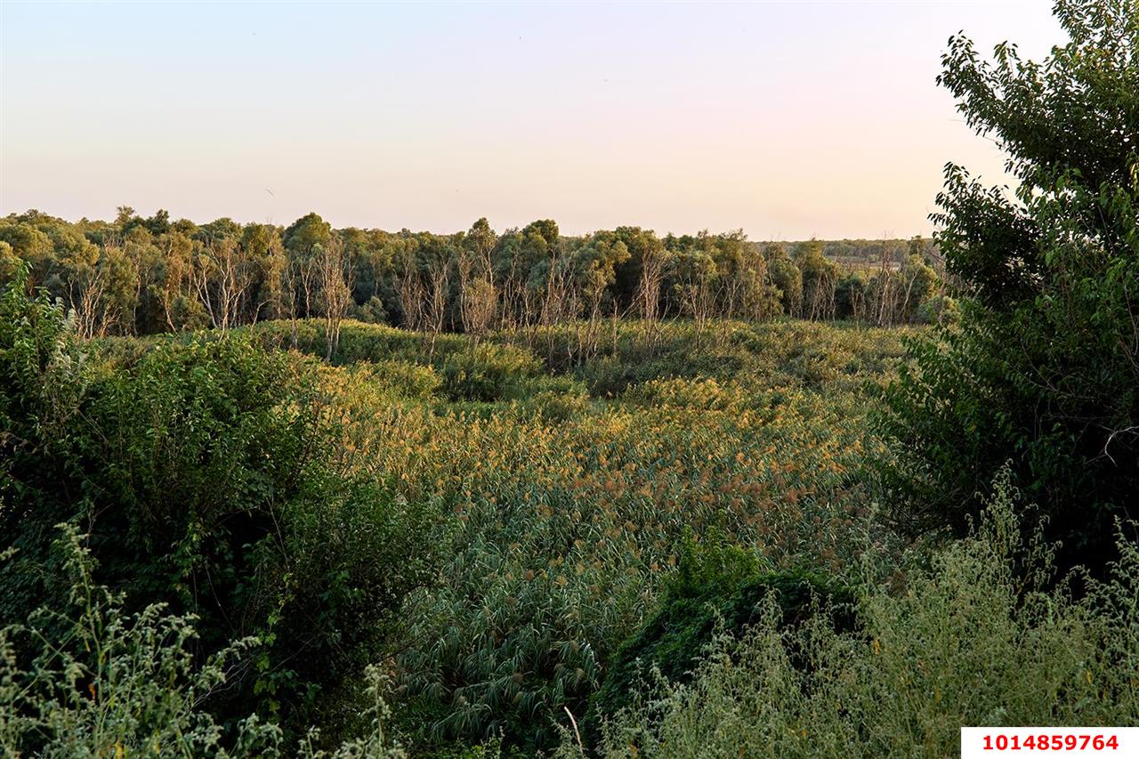 Фото №18: Дом 71 м² + 16.5 сот. - Васюринская, ул. Гоголя, 17
