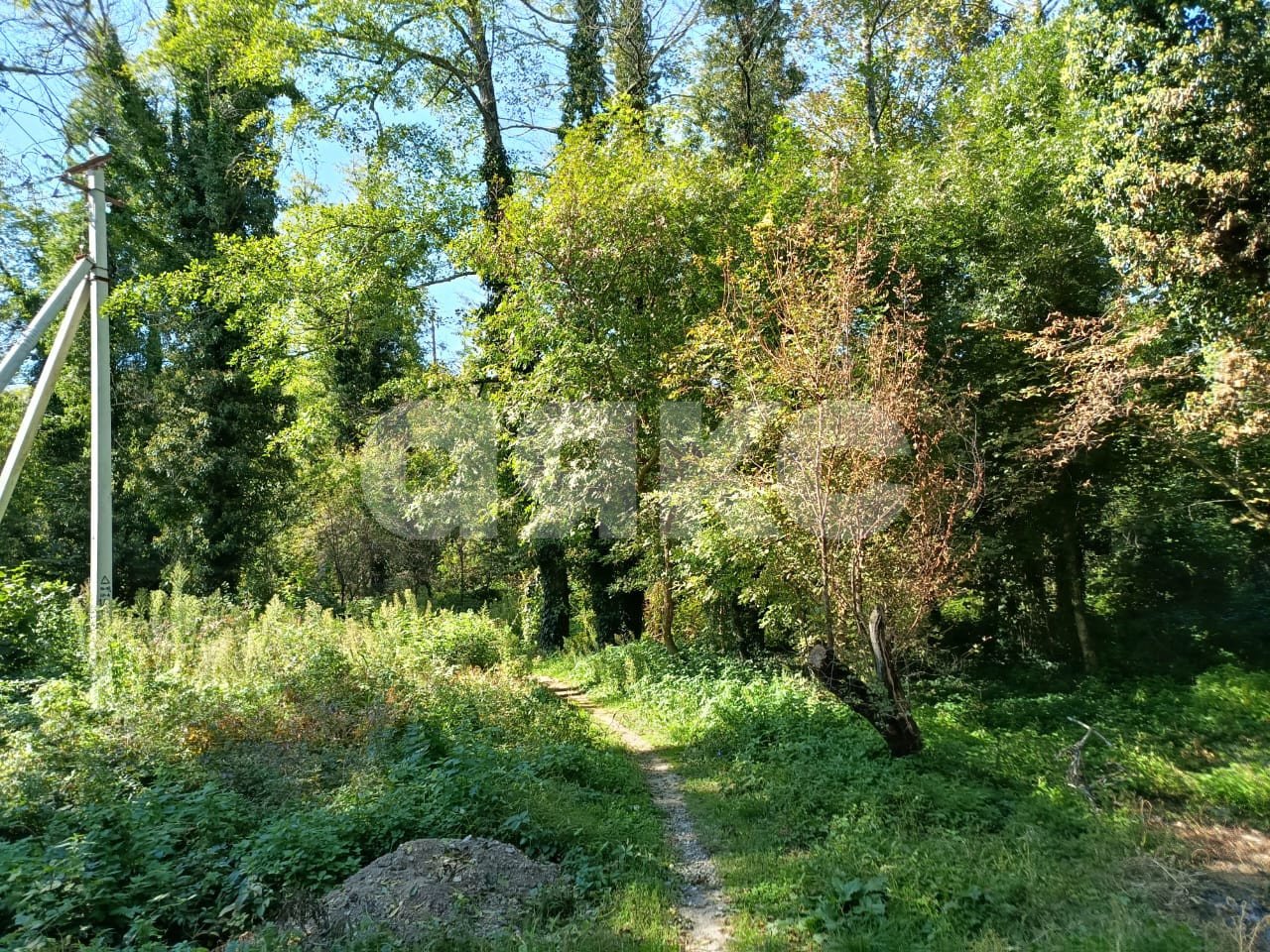 Фото №7: Личное подсобное хозяйство 8 сот. - Береговое, ул. Подгорная, 3