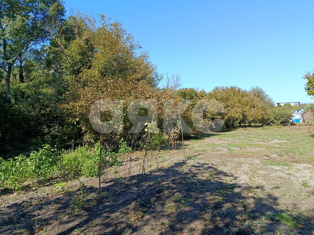 Фото №6: Личное подсобное хозяйство 8 сот. - Береговое, ул. Подгорная, 3