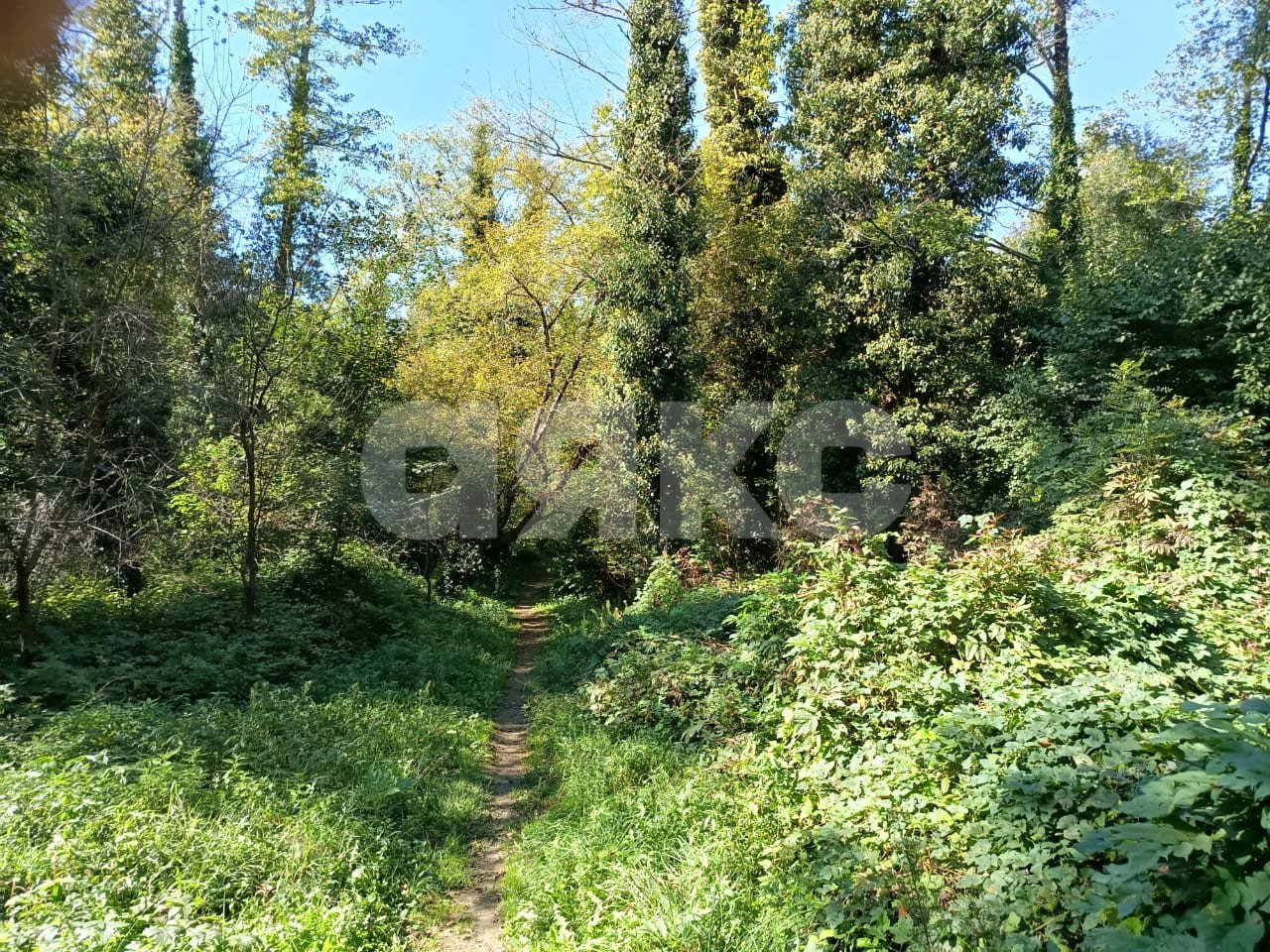 Фото №8: Личное подсобное хозяйство 8 сот. - Береговое, ул. Подгорная, 3