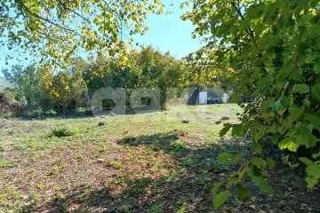 Фото №2: Личное подсобное хозяйство - Береговое, ул. Подгорная, 3