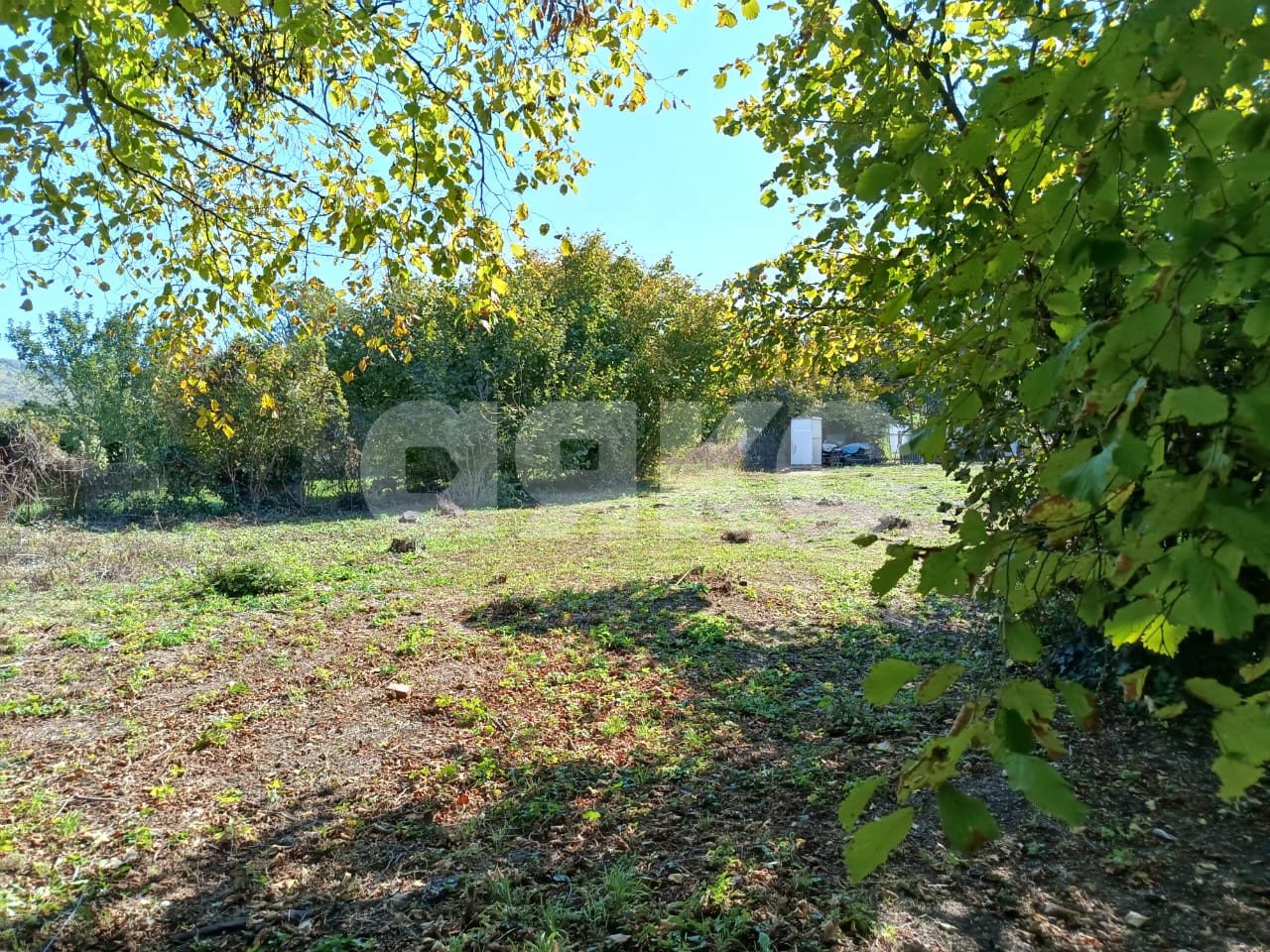 Фото №2: Личное подсобное хозяйство 8 сот. - Береговое, ул. Подгорная, 3