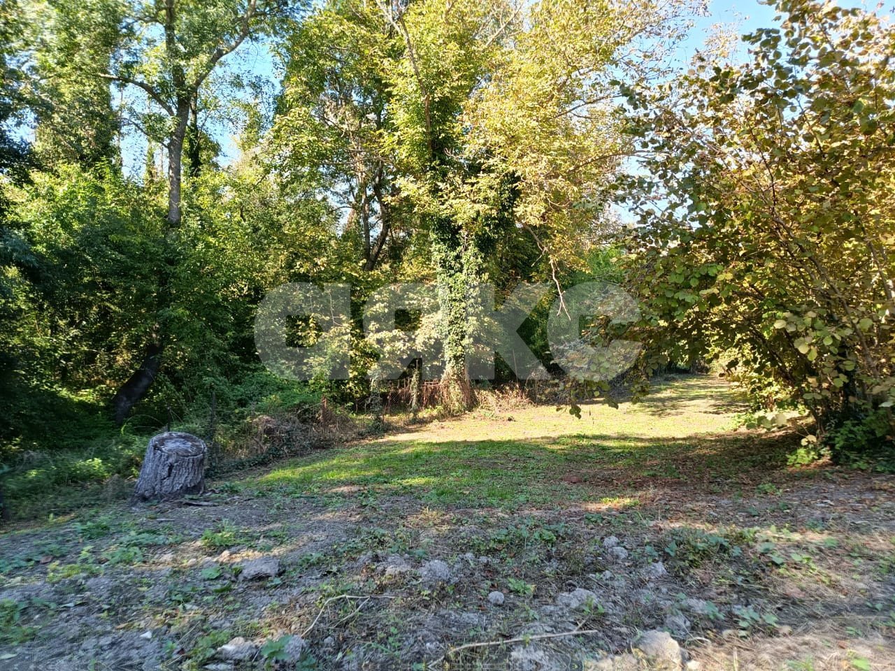 Фото №4: Личное подсобное хозяйство 8 сот. - Береговое, ул. Подгорная, 3