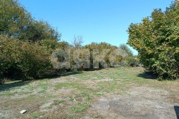 Фото №5: Личное подсобное хозяйство - Береговое, ул. Подгорная, 3