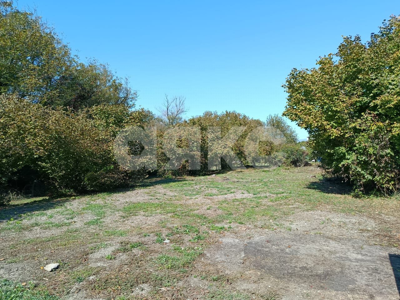 Фото №5: Личное подсобное хозяйство 8 сот. - Береговое, ул. Подгорная, 3