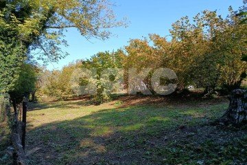 Фото №1: Личное подсобное хозяйство - Береговое, ул. Подгорная, 3