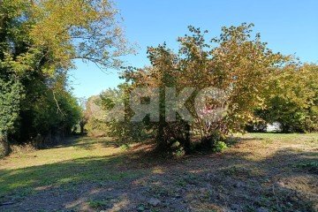 Фото №3: Личное подсобное хозяйство - Береговое, ул. Подгорная, 3