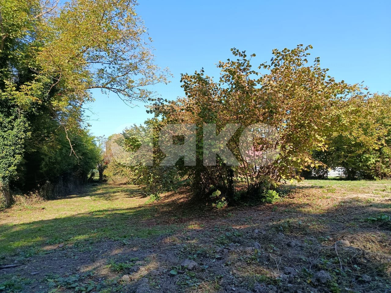 Фото №3: Личное подсобное хозяйство 8 сот. - Береговое, ул. Подгорная, 3