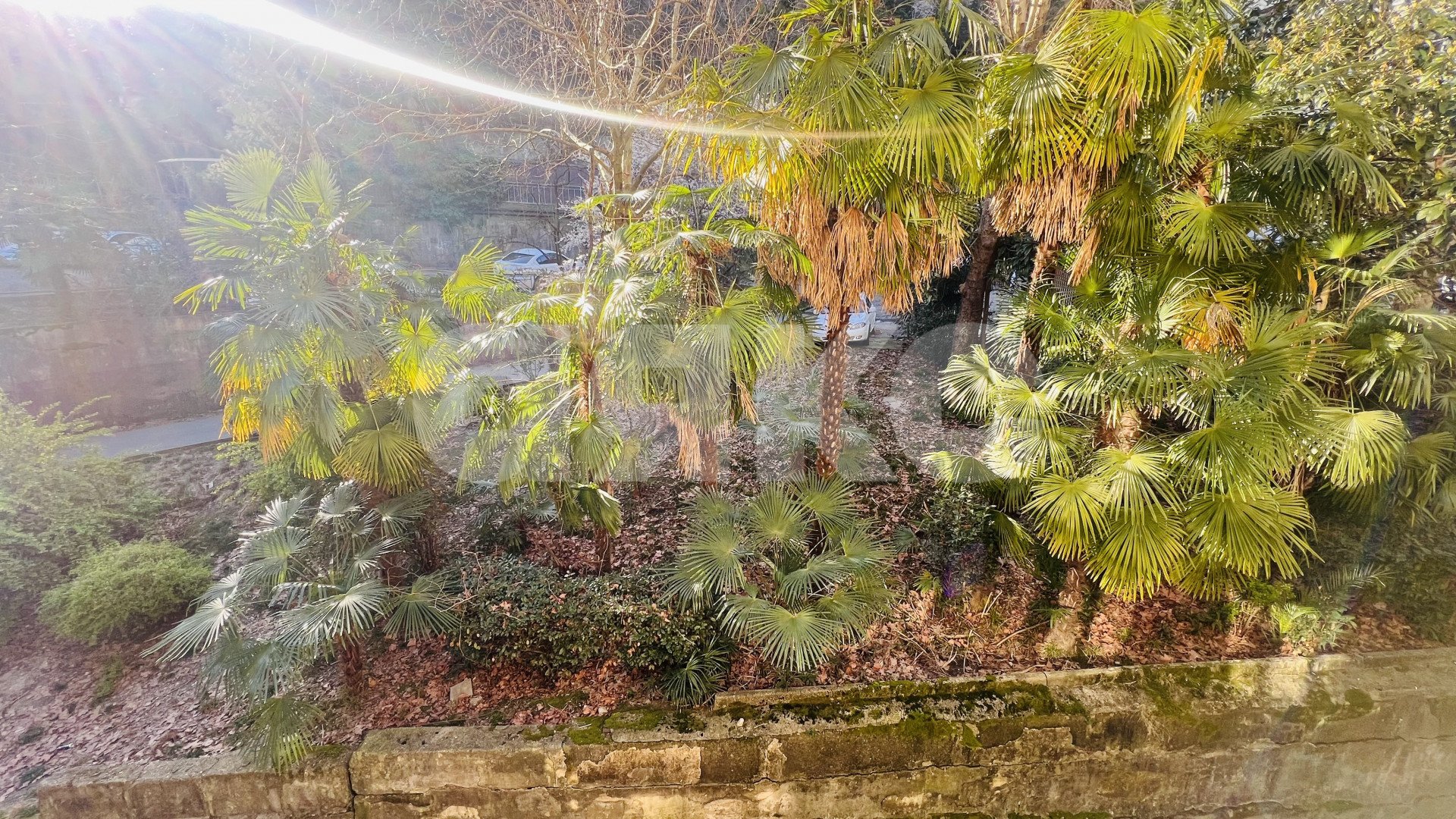 Фото №21: 3-комнатная квартира 65 м² - Сочи, Центральный, мкр. Гагарина, ул. Красноармейская, 15