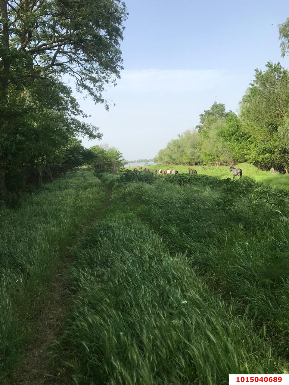 Фото №2: Земельный участок под ИЖС 25 сот. - Хаштук, ул. Набережная, 8