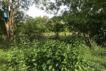 Фото №5: Земельный участок под ИЖС 25 сот. - Хаштук, ул. Набережная, 8