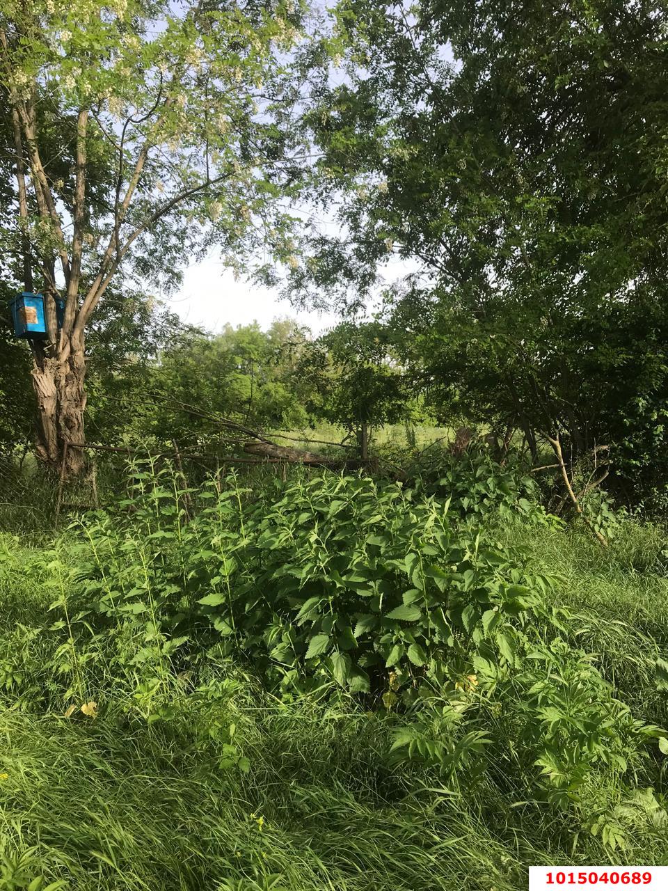 Фото №5: Земельный участок под ИЖС 25 сот. - Хаштук, ул. Набережная, 8