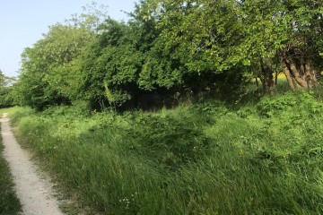 Фото №4: Земельный участок под ИЖС 25 сот. - Хаштук, ул. Набережная, 8