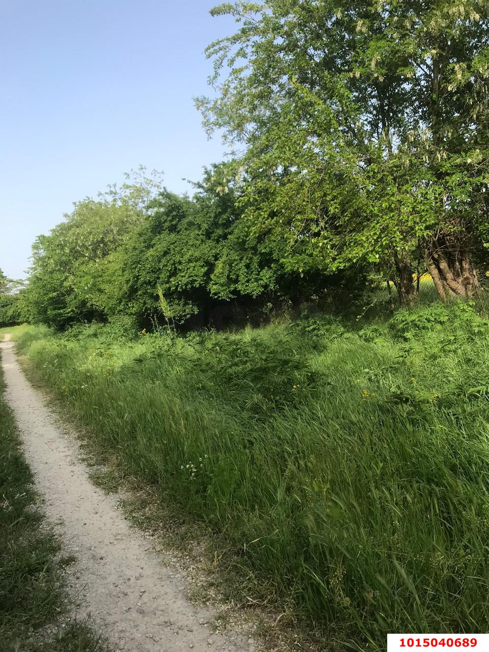 Фото №4: Земельный участок под ИЖС 25 сот. - Хаштук, ул. Набережная, 8