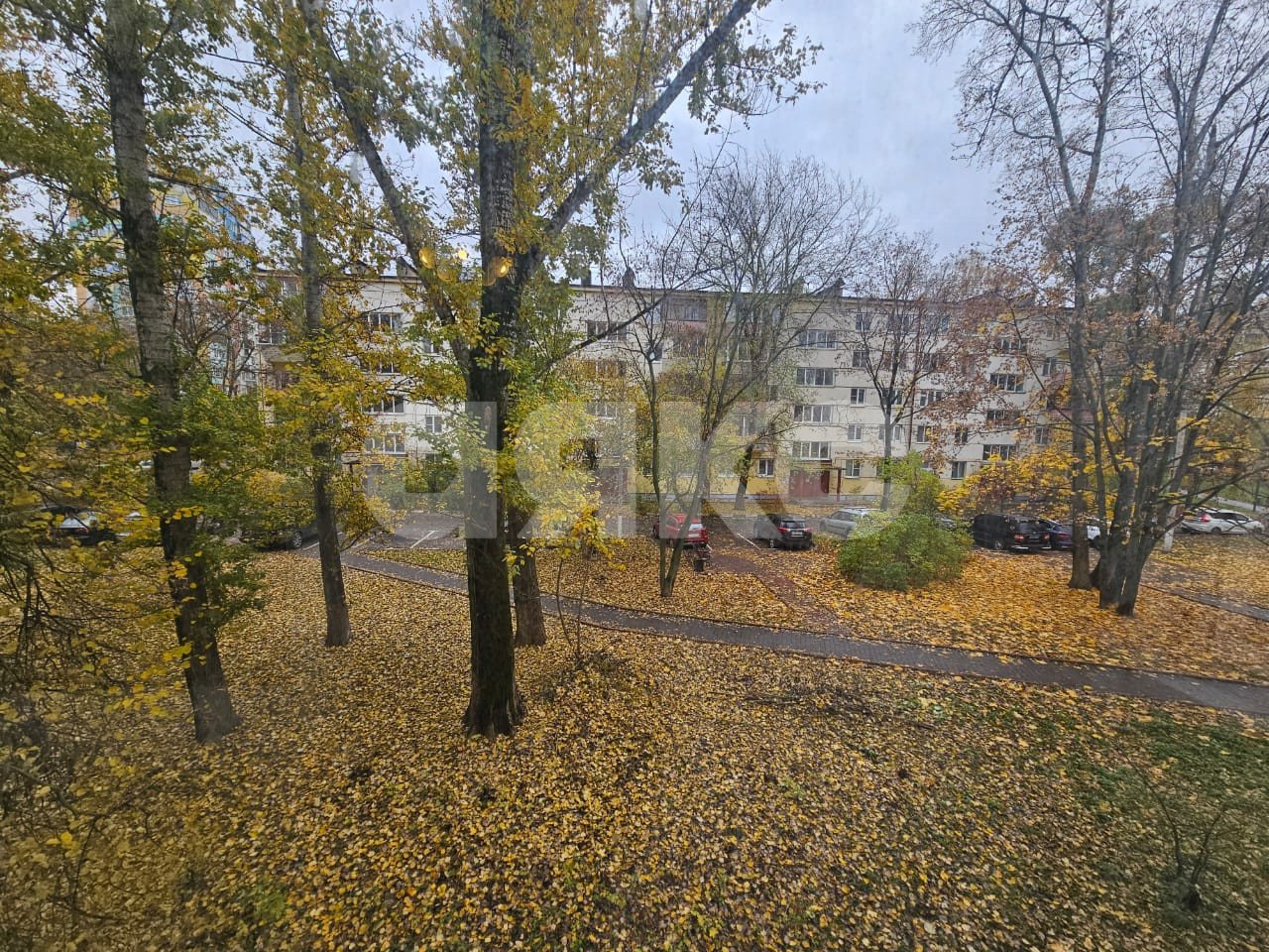 Фото №15: 1-комнатная квартира 29 м² - Раменское, Центральный, ул. Михалевича, 10