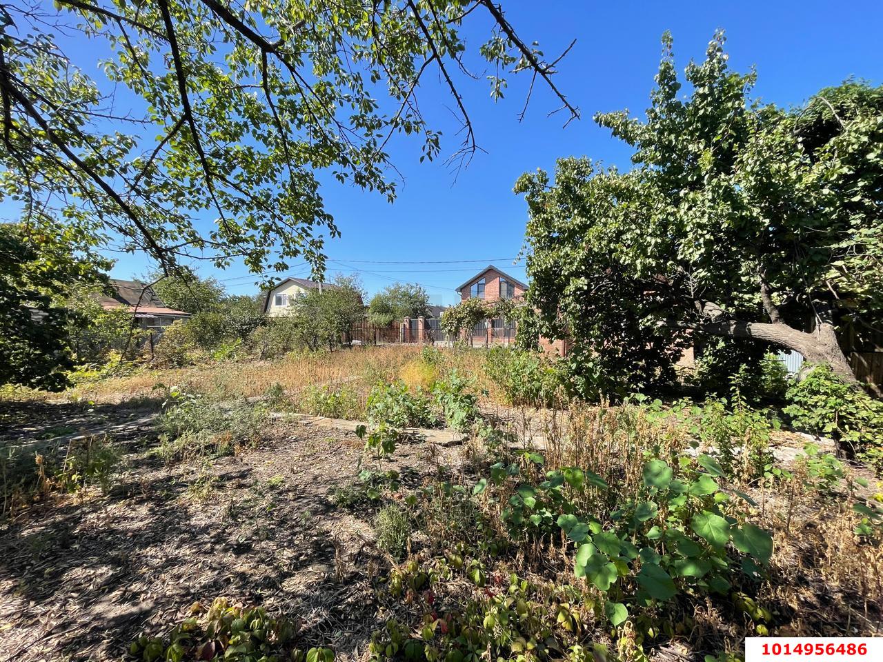 Фото №6: Участок садоводство 6 сот. - Краснодар, Лесник, ул. Сиреневая, 220