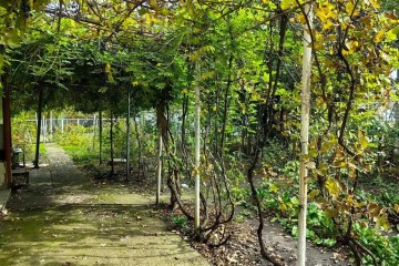 Фото №2: Дом 67 м² - Пламя, мкр. Карасунский внутригородской округ, ул. Вишнёвая