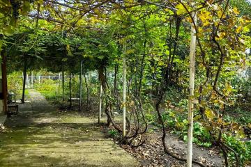 Фото №2: Дом 67 м² - Пламя, мкр. Карасунский внутригородской округ, ул. Вишнёвая