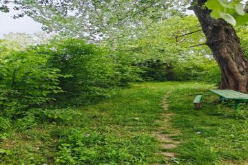 Фото №4: Земельный участок 10 сот. - 40-летия Советской Армии и Военно-Морского Флота, ул. Садовая, 23