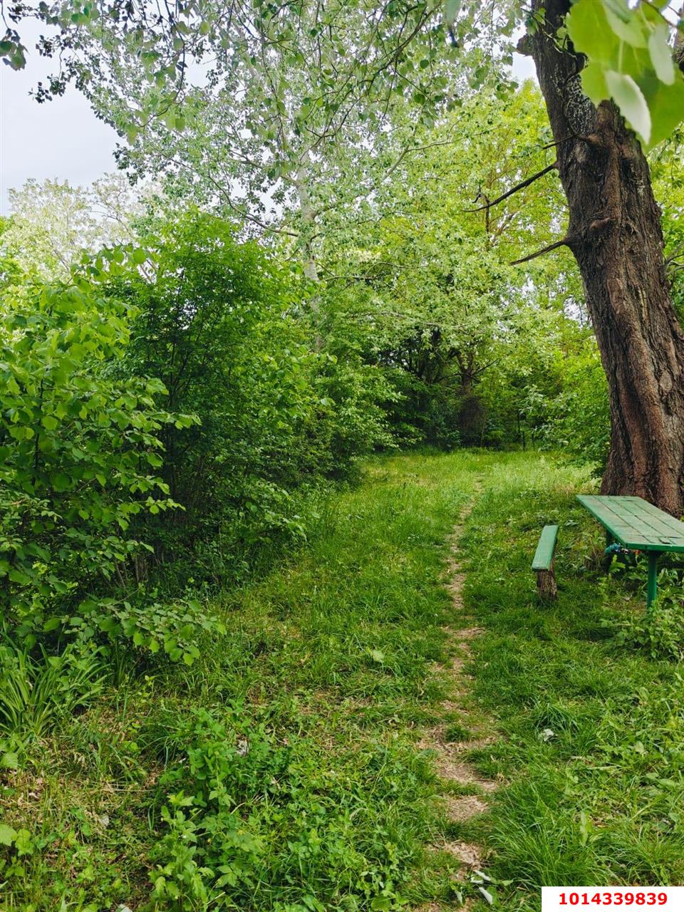 Фото №4: Земельный участок 10 сот. - 40-летия Советской Армии и Военно-Морского Флота, ул. Садовая, 23