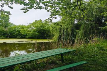 Фото №3: Земельный участок 10 сот. - 40-летия Советской Армии и Военно-Морского Флота, ул. Садовая, 23