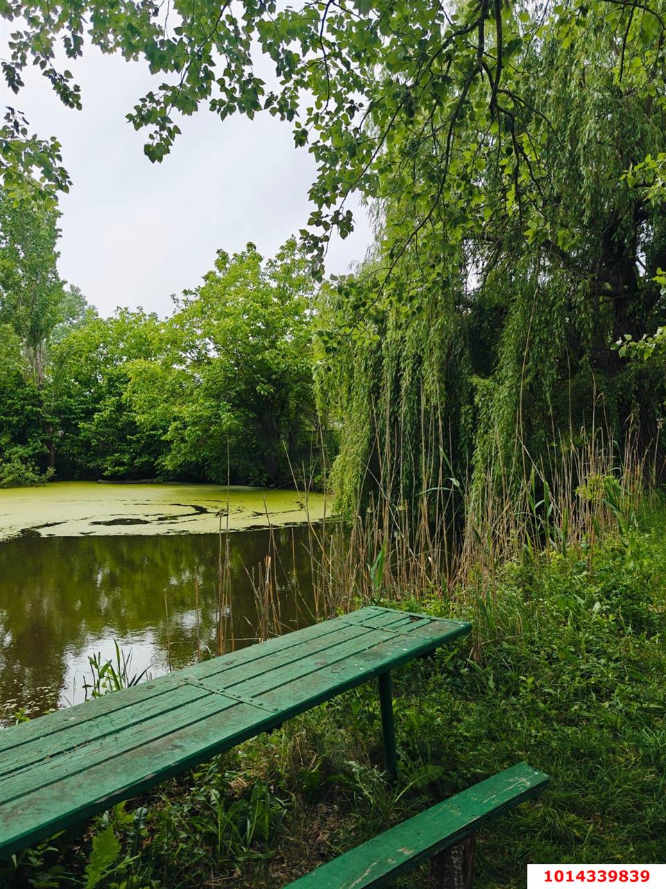 Фото №3: Участок садоводство 10 сот. - 40-летия Советской Армии и Военно-Морского Флота, ул. Садовая, 23