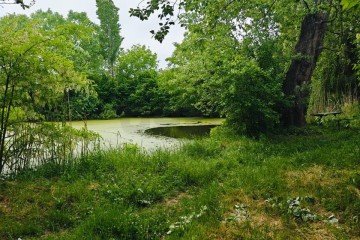 Фото №3: Участок садоводство 10 сот. - 40-летия Советской Армии и Военно-Морского Флота, ул. Садовая, 23