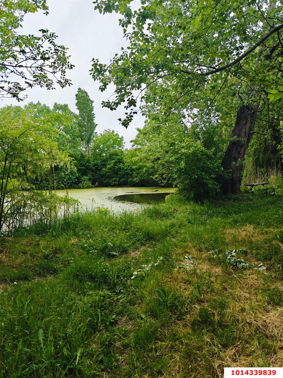 Фото №2: Земельный участок 10 сот. - 40-летия Советской Армии и Военно-Морского Флота, ул. Садовая, 23