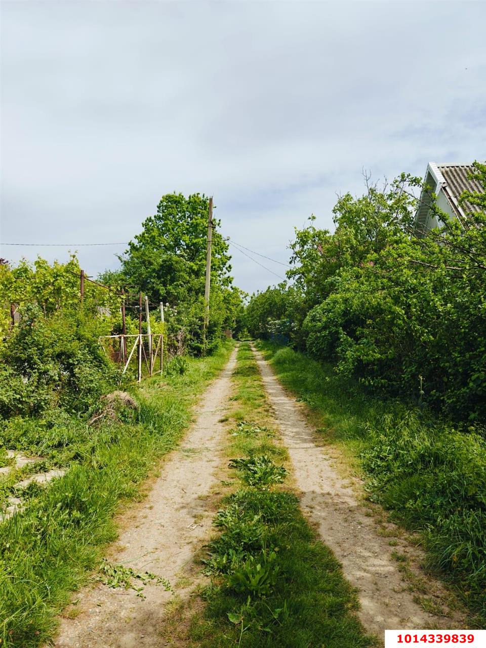 Фото №1: Участок садоводство 10 сот. - 40-летия Советской Армии и Военно-Морского Флота, ул. Садовая, 23