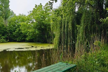 Фото №3: Участок садоводство 10 сот. - 40-летия Советской Армии и Военно-Морского Флота, ул. Садовая, 23