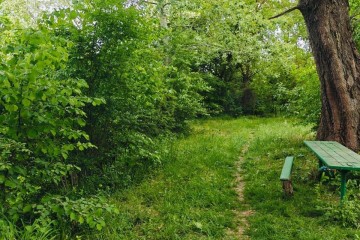 Фото №4: Участок садоводство 10 сот. - 40-летия Советской Армии и Военно-Морского Флота, ул. Садовая, 23