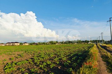 Фото №4: Коммерческая земля - Цибанобалка, 