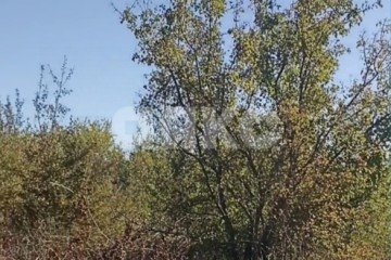 Фото №4: Дачное некоммерческое партнерство - ДНП Предгорье, ул. Северная
