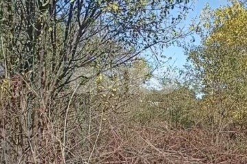 Фото №3: Дачное некоммерческое партнерство - ДНП Предгорье, ул. Северная