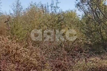 Фото №2: Дачное некоммерческое партнерство - ДНП Предгорье, ул. Северная
